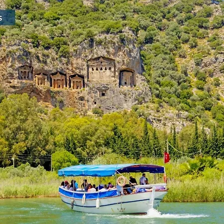 Fidan فيلة أولدينيس